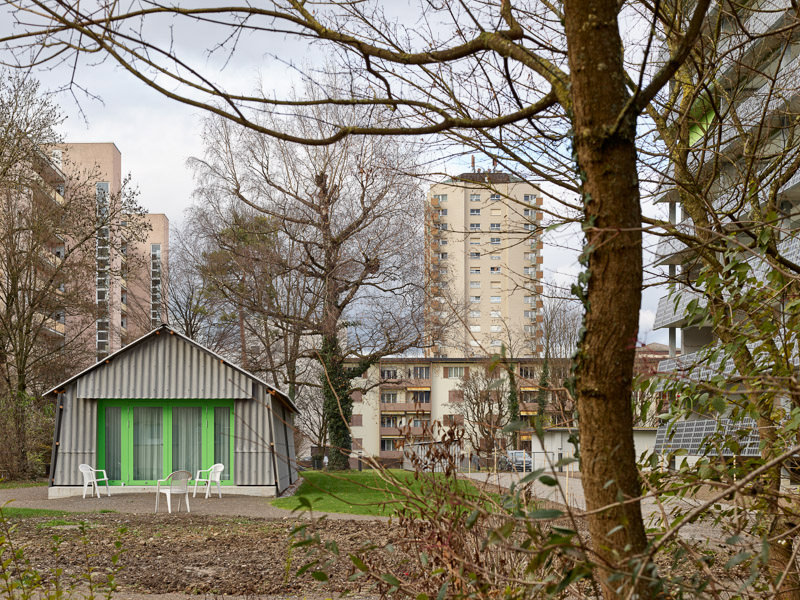 Luetjens Padmanabhan Architekt*innen - Umgestaltungen Hirzenbach, Zürich, 2024