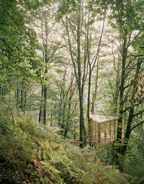 Olin Petzold - Tree House, Valle Onsernone, 2024